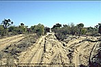 BOTSWANA_crossing KALAHARI South to North_extremely hard_UNIMOG-trip through Southern AFRICA 1999 with my friend Rolf Backes_Jochen A. Hbener