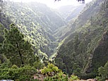 der ursprngliche, gewaltige, wilde 'Barranco de Garome' im Nordwesten v. 'LA PALMA'