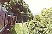 ... das Top-Highlight fr mich in COSTA RICA_abenteuerliche Western-Eisenbahnfahrt von der Hauptstadt San Jos ber die Berge, durch Dschungel und Savanne_nach Puerto Limn an der Karibikkste_1974