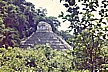 Kulturschnuppern stand natrlich auch auf der Tagesordnung _ hier PALENQUE_ansonsten Teotihuacan, Monte Alban, Uxmal, Chichen Itz etc._MEXICO 1974 