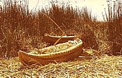 PERU / BOLIVIEN 1975_typisches Schilfboot der Urus auf dem Titicacasee; ein Mini-Model haben meine Tchter noch heute ..._Jochen A. Hbener