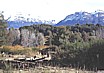 ... nach dem Skilauf in der Umgebung von SAN CARLOS de BARILOCHE und der Schiffsreise auf dem NAHUEL HUAPI zum Abschlu noch wandern und reiten im Nationalpark 'NAHUEL HUAPI'_ARGENTINIEN, 1986_Jochen A. Hbener