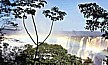 ... kaum zu toppen_die Wasserflle von IGUACU (CATARATAS del IGUAZ_SALTOS do IGUA_The IGUAZU FALLS)_ein JUWEL_Dreilndereck ARGENTINIEN / PARAGUAY / BRASILIEN 1986_Jochen A. Hbener